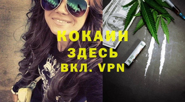 прущая мука Вяземский