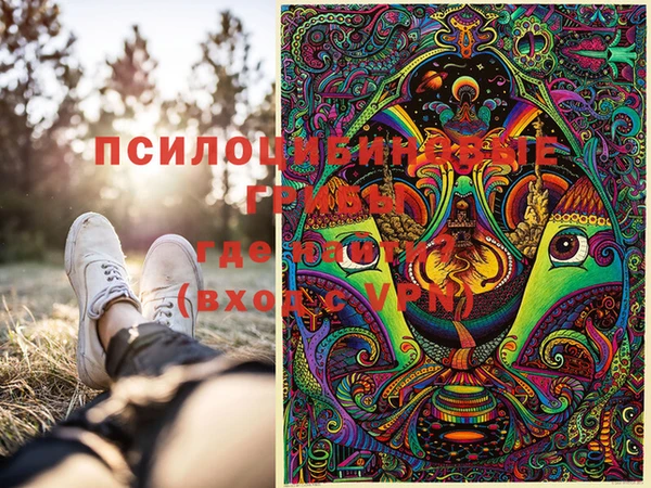 прущая мука Вяземский