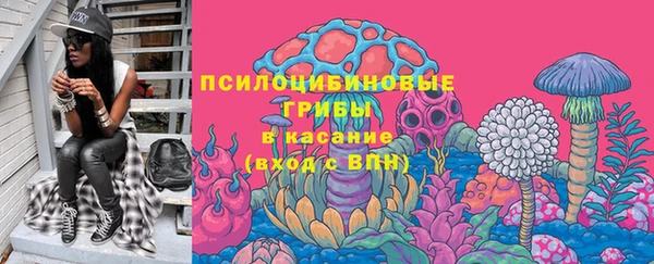 прущая мука Вяземский