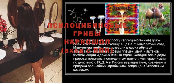прущая мука Вяземский