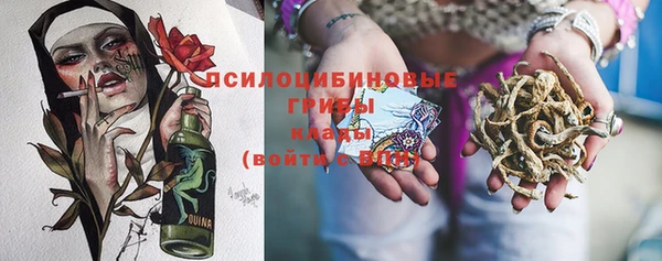 прущая мука Вяземский