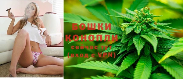прущая мука Вяземский