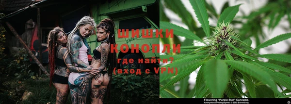 прущая мука Вяземский