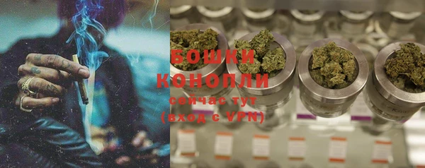 прущая мука Вяземский