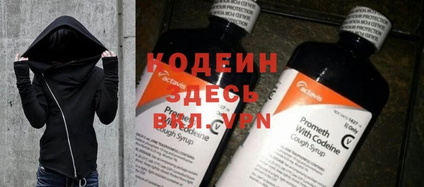 прущая мука Вяземский