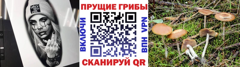 Галлюциногенные грибы ЛСД  Печора 
